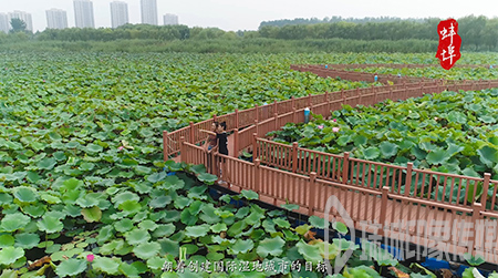 湿地宣传片（中文）